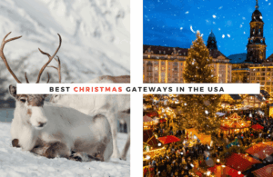 Christmas Deer and christmas market
