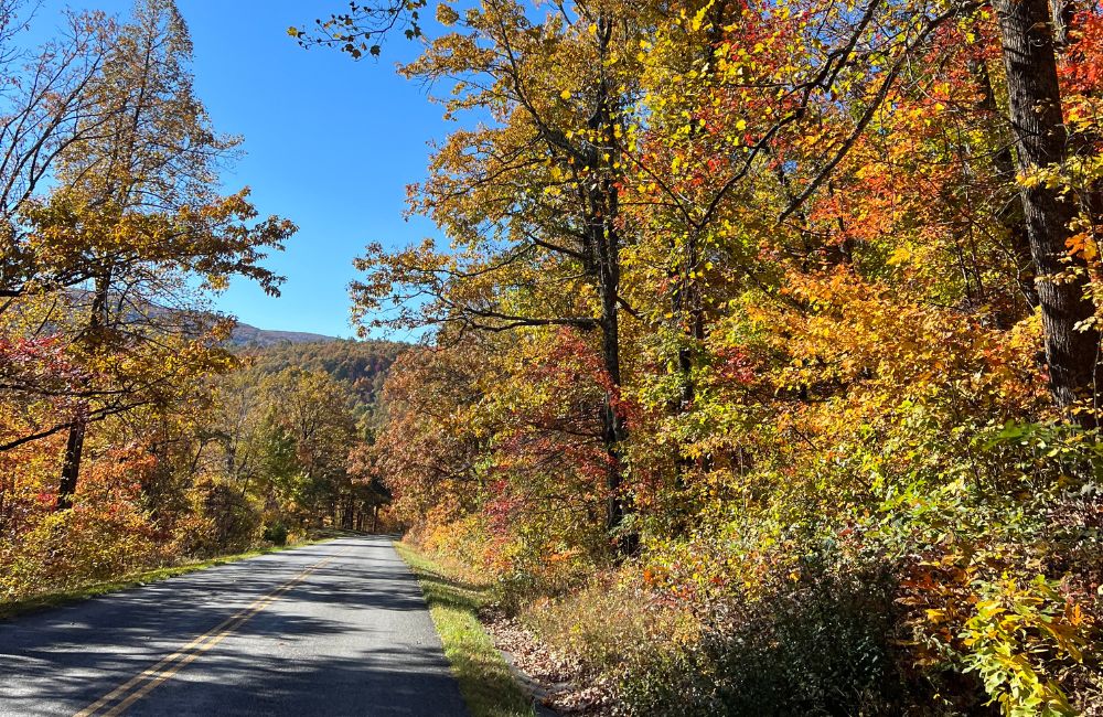 Shenandoah park usa