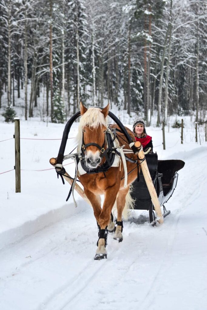 horse sleight ride in stowe