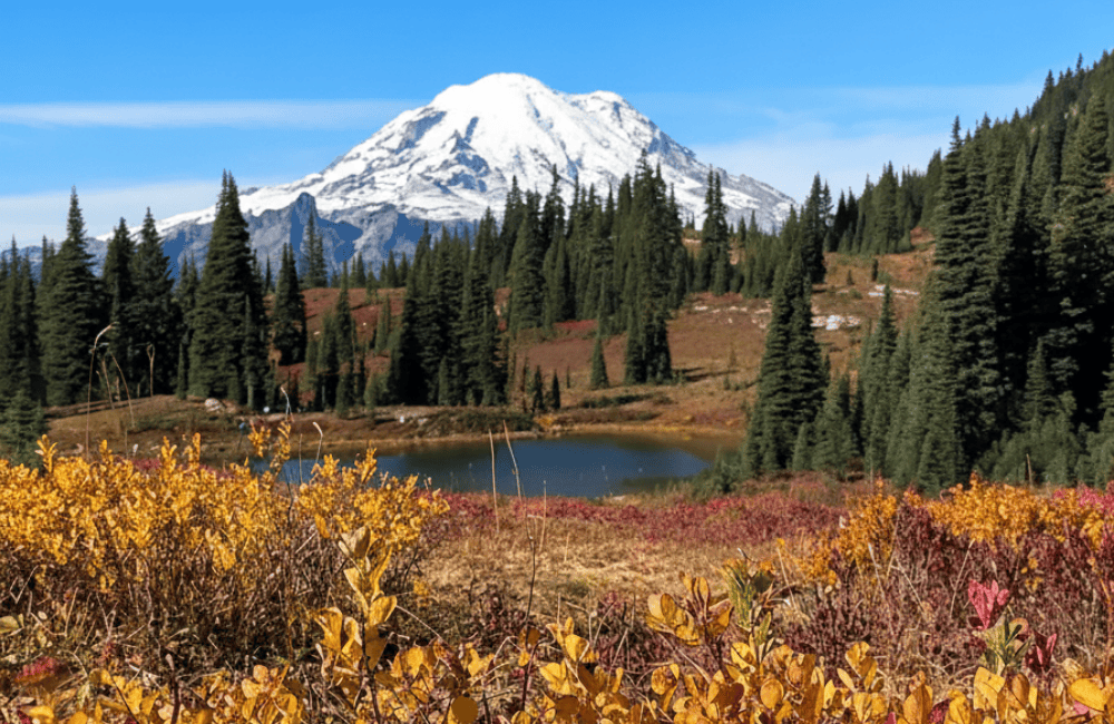mount reiner