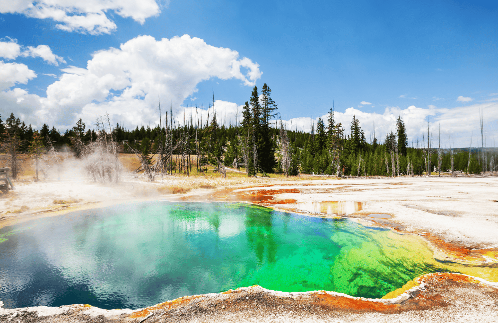 Yellowstone gazer