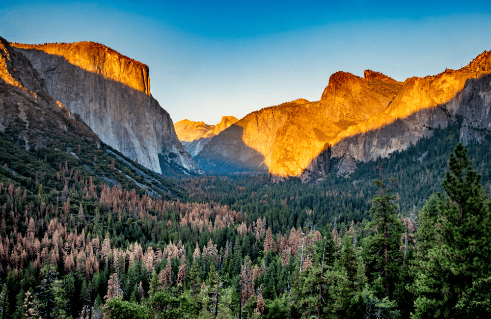 Yosemite National Park USA