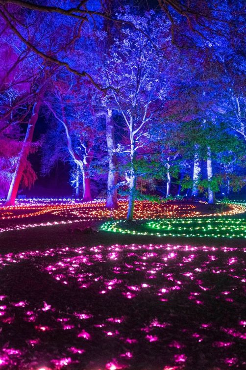 Lightscape at Brooklyn Botanic Garden