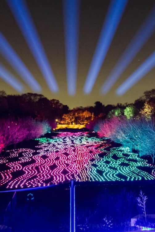 Lightscape at Brooklyn Botanic Garden