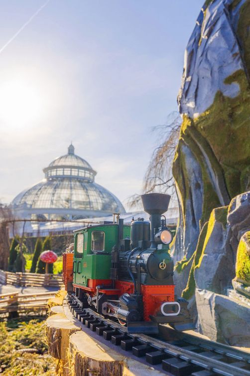 NYC Botanical garden train exhibition