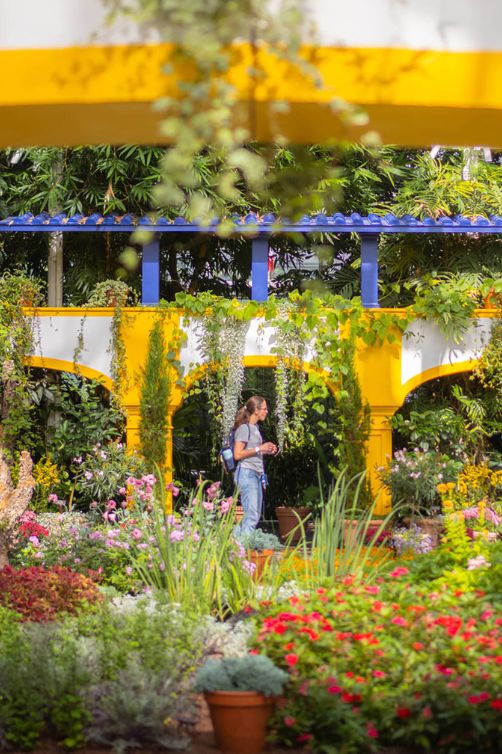 NYC Botanical garden train exhibition